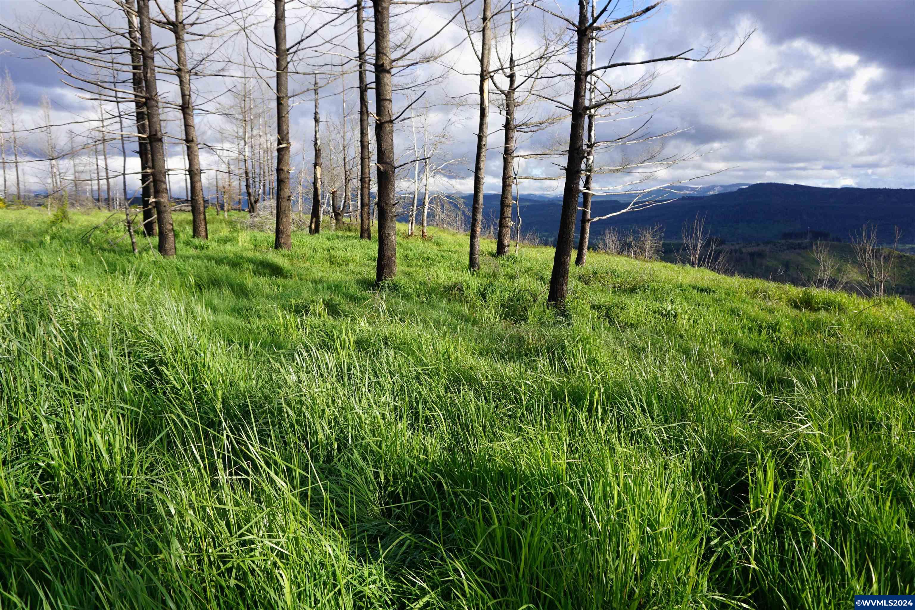 900 Wagner Road Lyons, OR 97358 - Photo 15 of 30