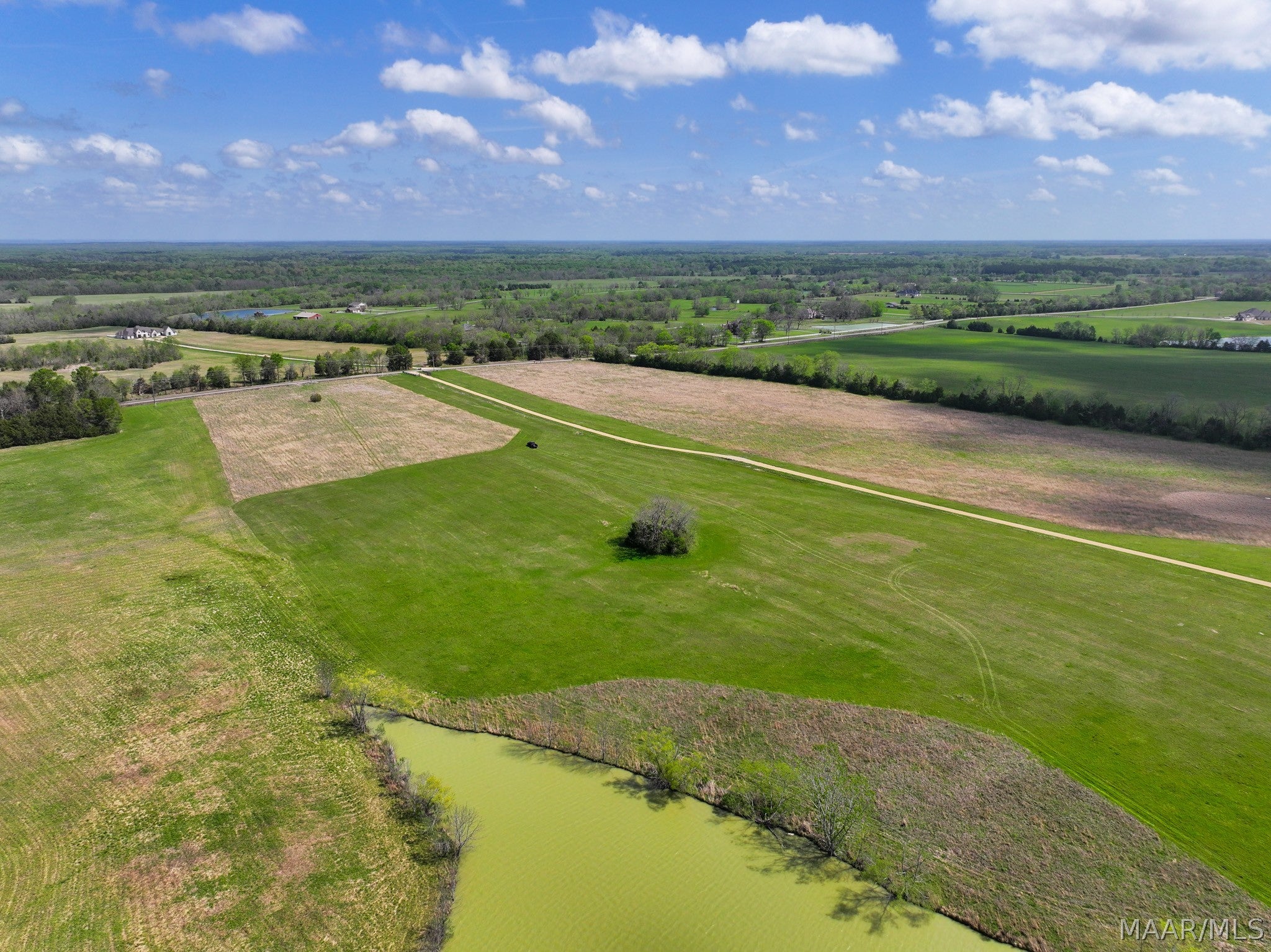 0 Mathews Road Mathews, AL 36052 - Photo 7 of 16 Gallery Image 7