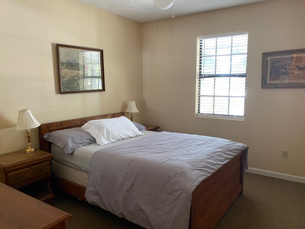 375 Burkelo Road Wagener, SC 29164 - Photo 13 of 14
