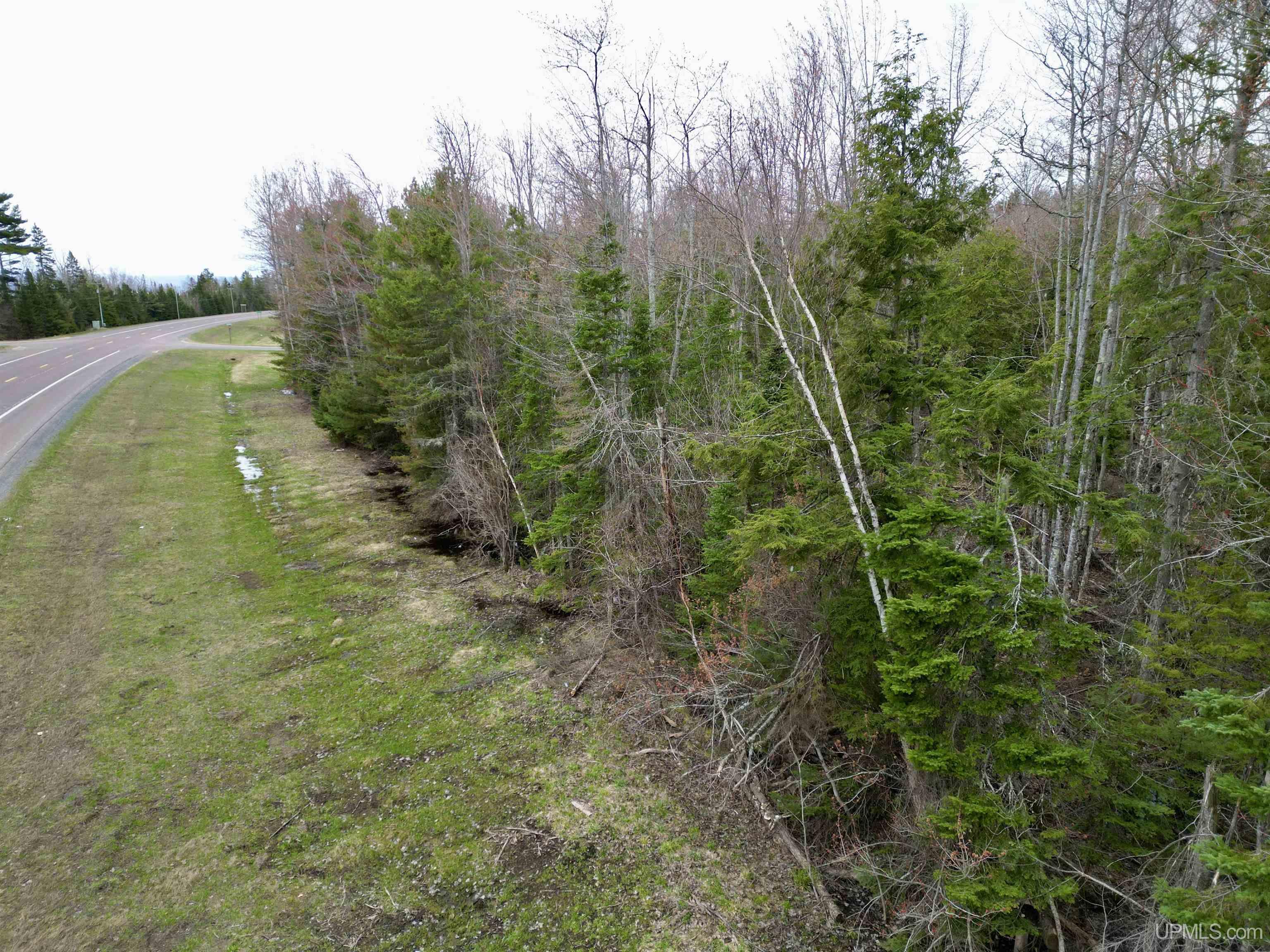Tbd Tbd Us 41/beartown Road Baraga, MI 49908 - Photo 16 of 17