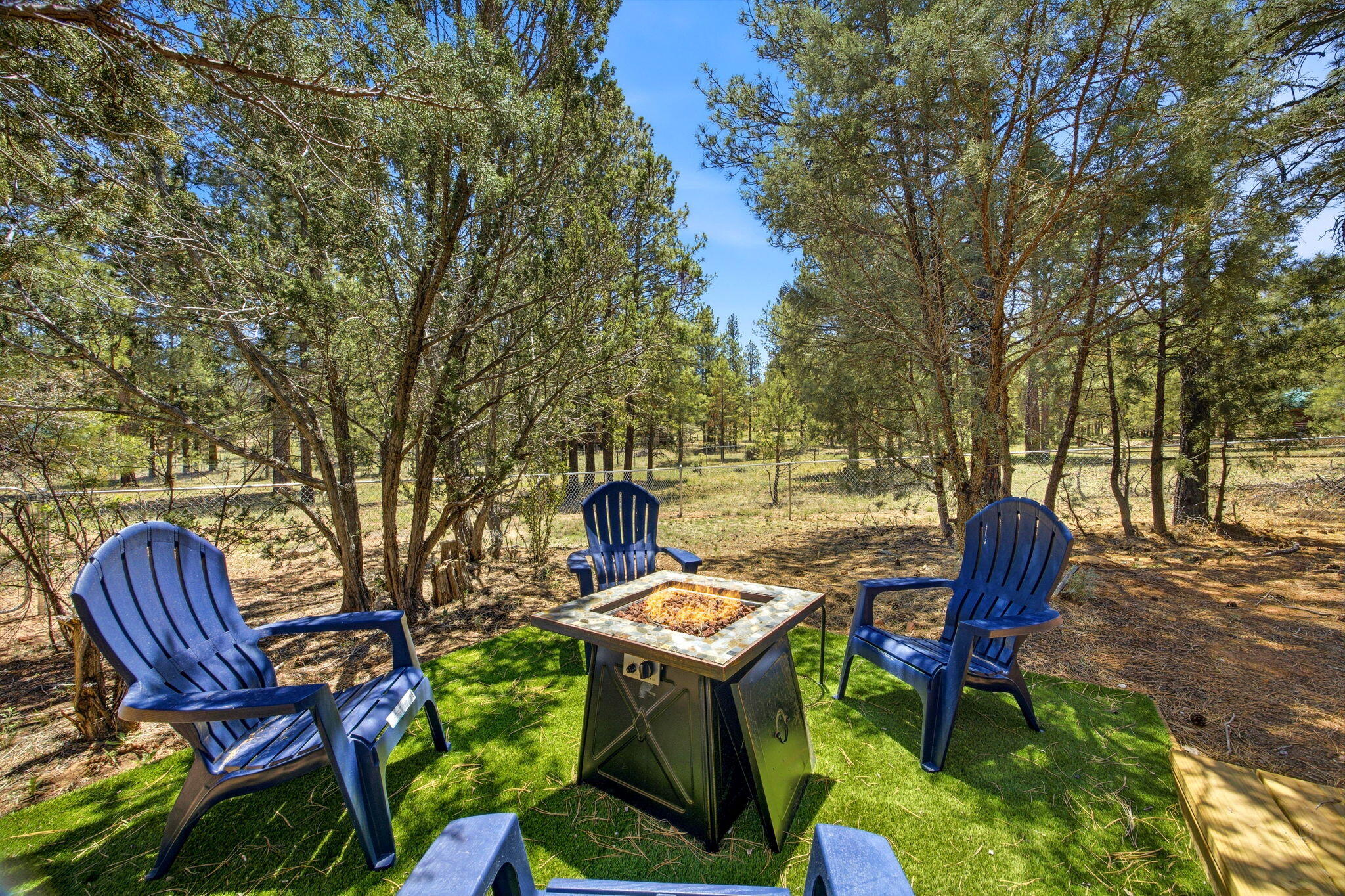 2905 Lodgepole Road Overgaard, AZ 85933 - Photo 31 of 42