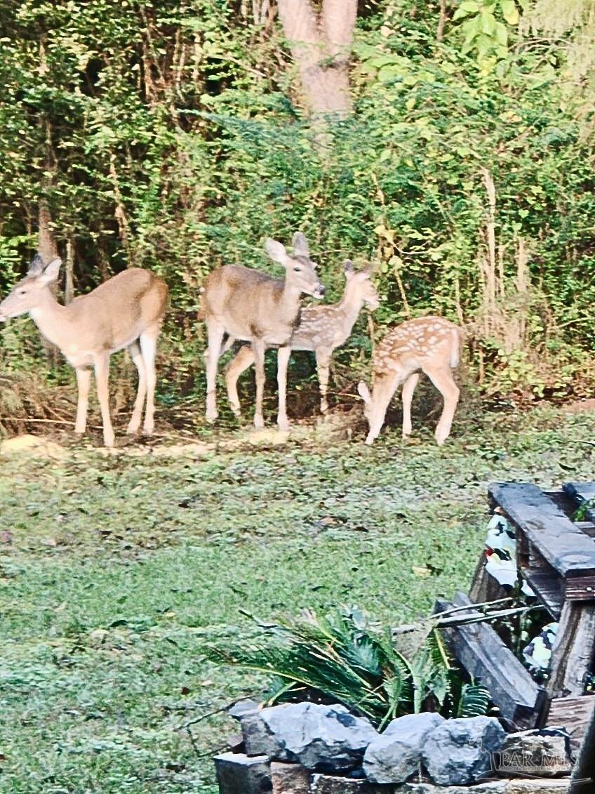 5406 Steele Road Baker, FL 32531 - Photo 40 of 46 a view of multiple houses with yard