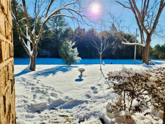 a view of a field with trees in the background
