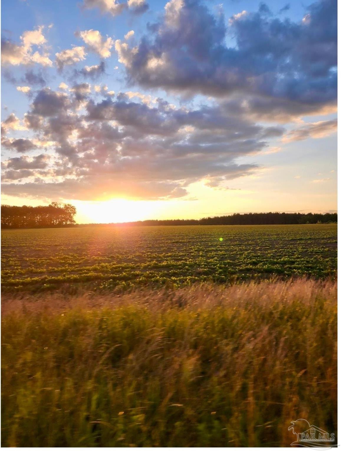 5406 Steele Road Baker, FL 32531 - Photo 43 of 46