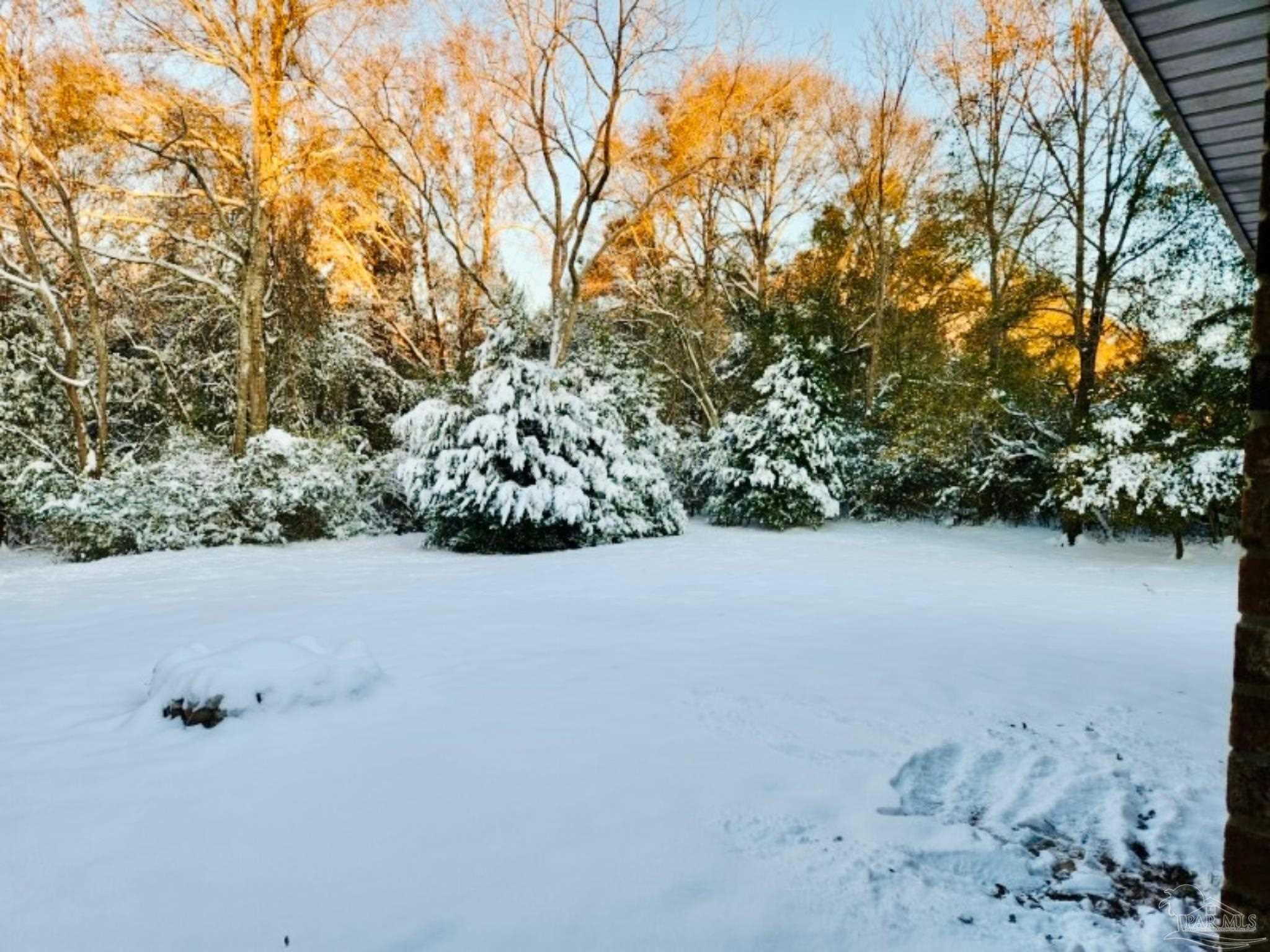 5406 Steele Road Baker, FL 32531 - Photo 44 of 46 a view of a field with trees in the background