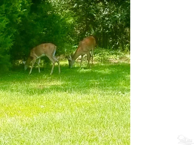 $515,000 | 5406 Steele Road, Baker, FL 32531