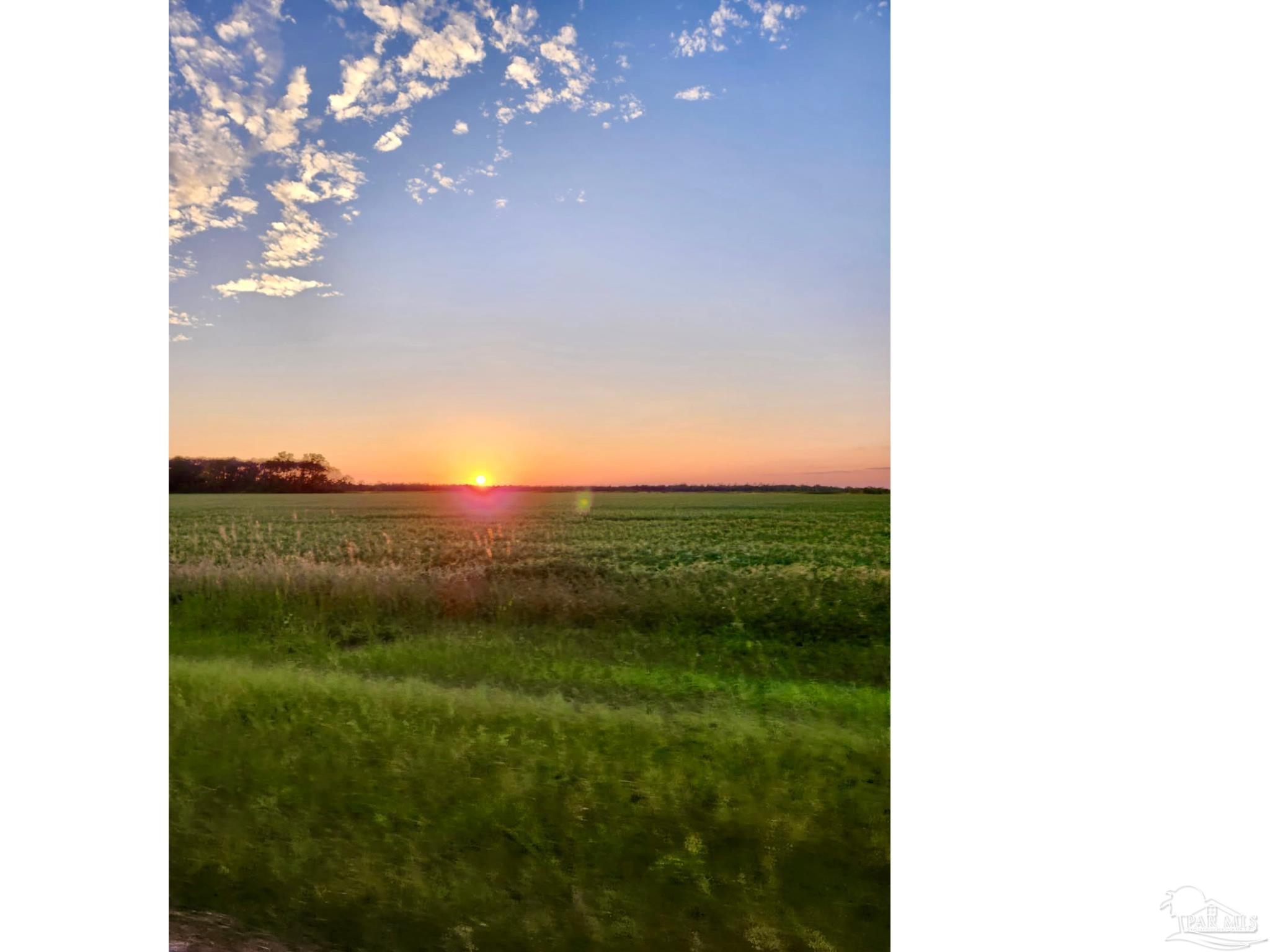 5406 Steele Road Baker, FL 32531 - Photo 46 of 46 a view of a lake