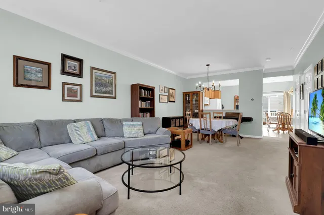 a living room with furniture potted plant and a window