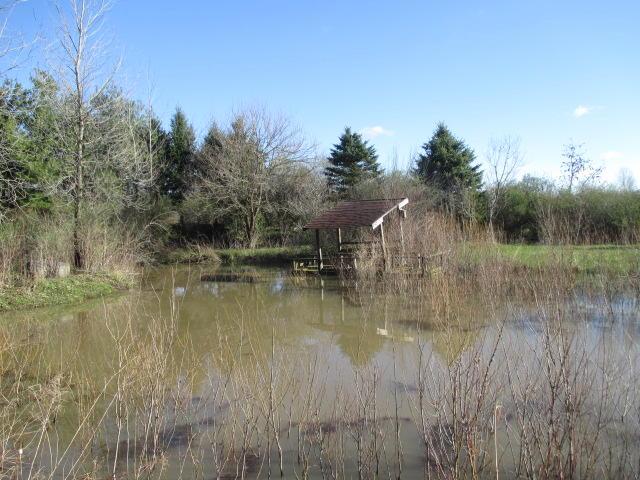 6457 Perry Road Centerburg, OH 43011 - Photo 24 of 25 Gallery Image 24