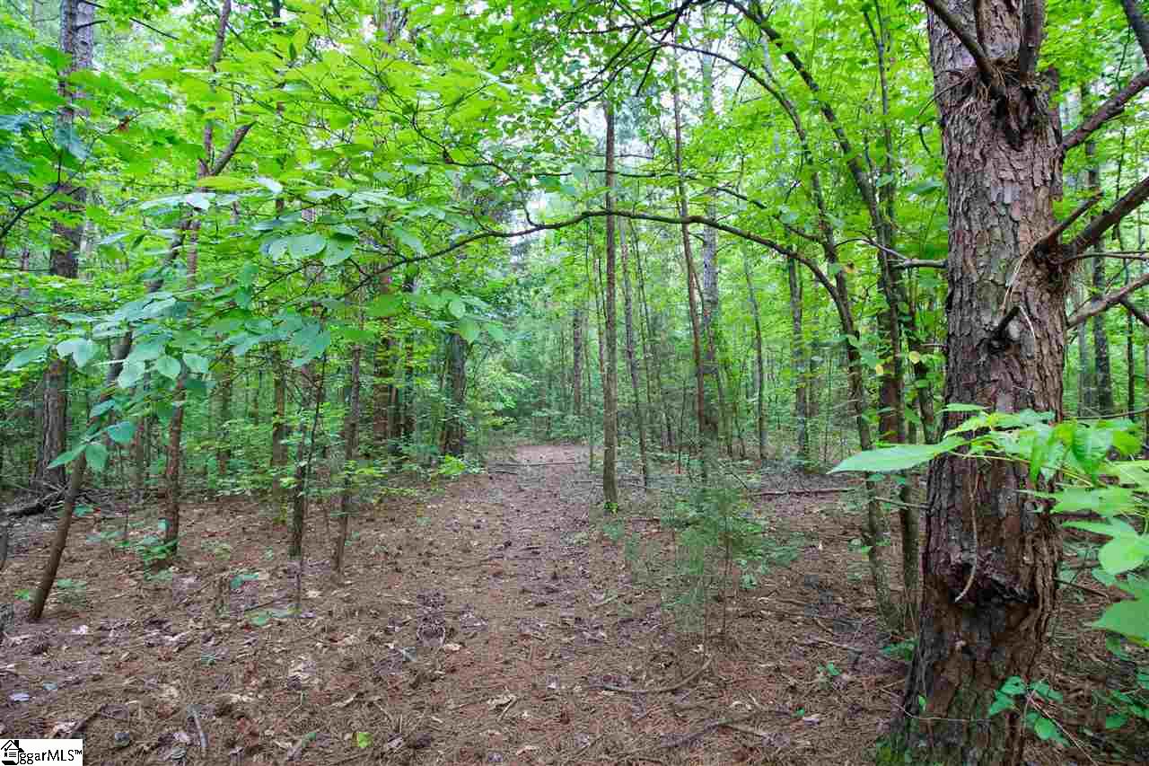 168 State Rd S-42-776 Woodruff, SC 29388 - Photo 33 of 35