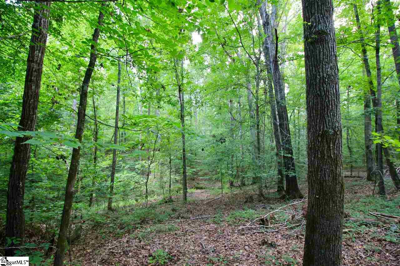 168 State Rd S-42-776 Woodruff, SC 29388 - Photo 34 of 35
