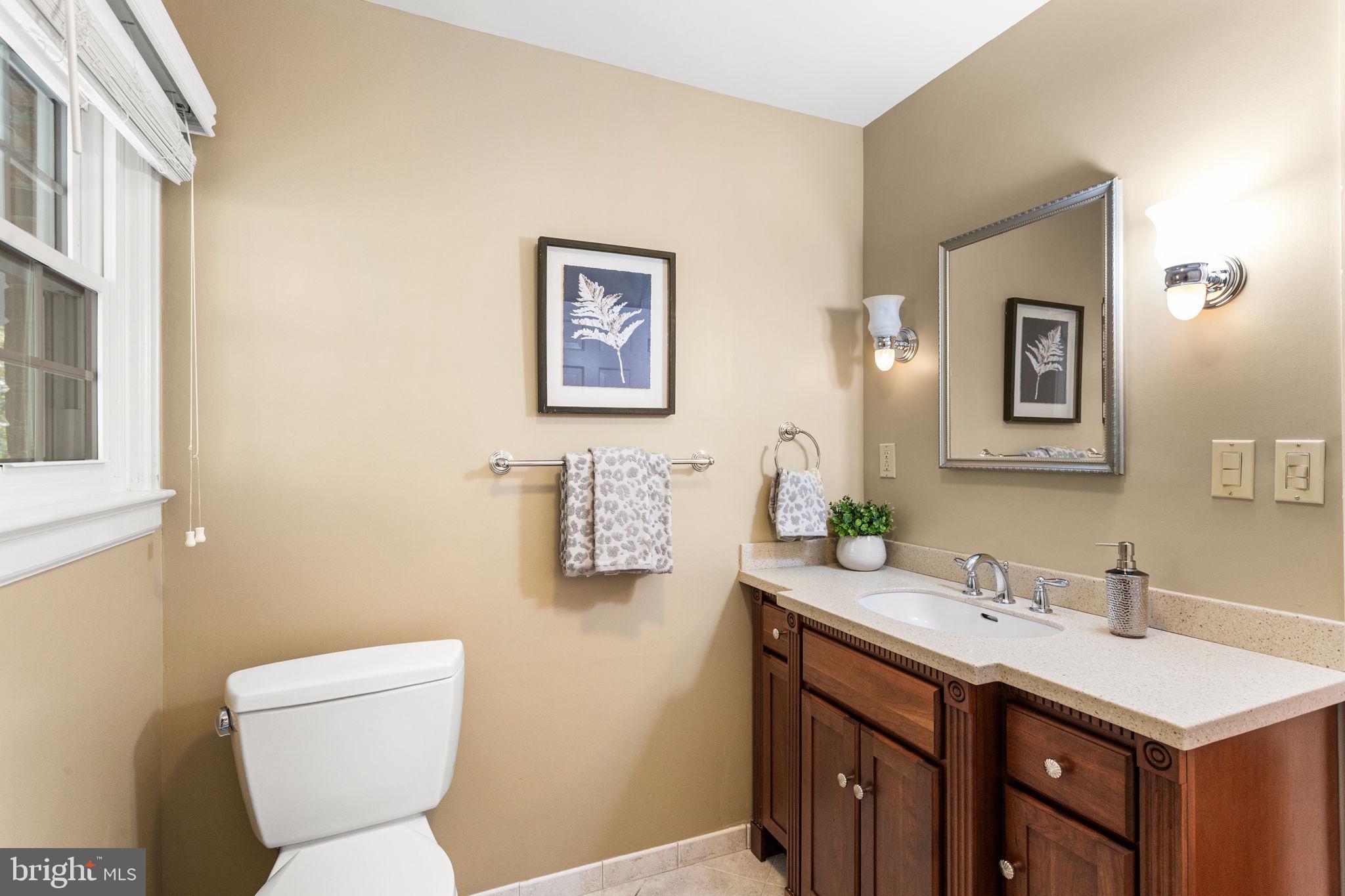 7404 Rippon Road Alexandria, VA 22307 - Photo 21 of 28 a bathroom with a toilet sink and mirror