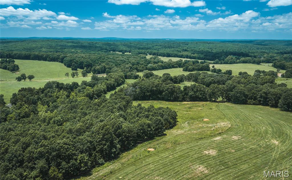 171 Czar Tower Road Steelville, MO 65565 - Photo 47 of 54