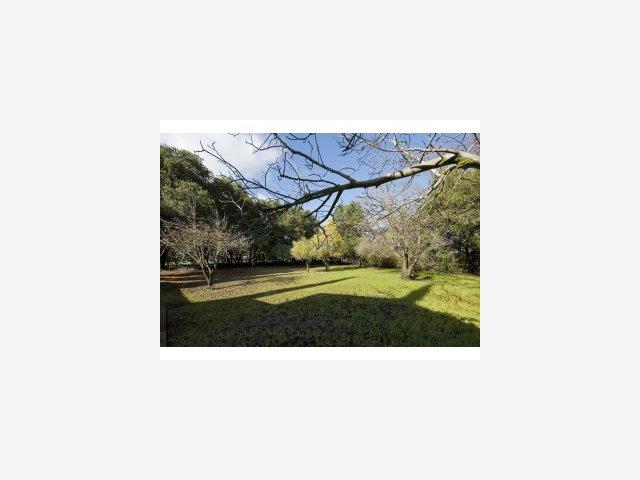10566 Santa Lucia Road Cupertino, CA 95014 - Photo 3 of 9 Gallery Image 3