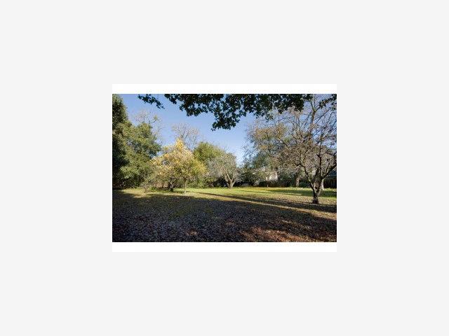 10566 Santa Lucia Road Cupertino, CA 95014 - Photo 5 of 9 Gallery Image 5