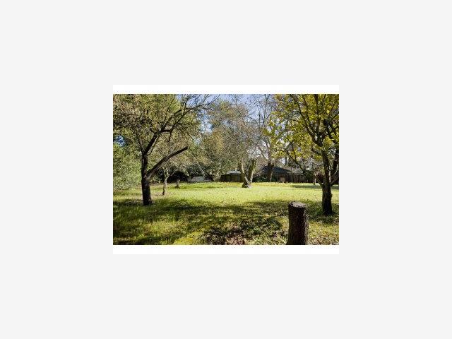 10566 Santa Lucia Road Cupertino, CA 95014 - Photo 8 of 9 Gallery Image 8
