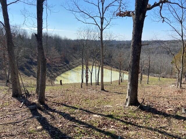 1702 Mattox Road Falmouth, KY 41040 - Photo 27 of 50 Gallery Image 27