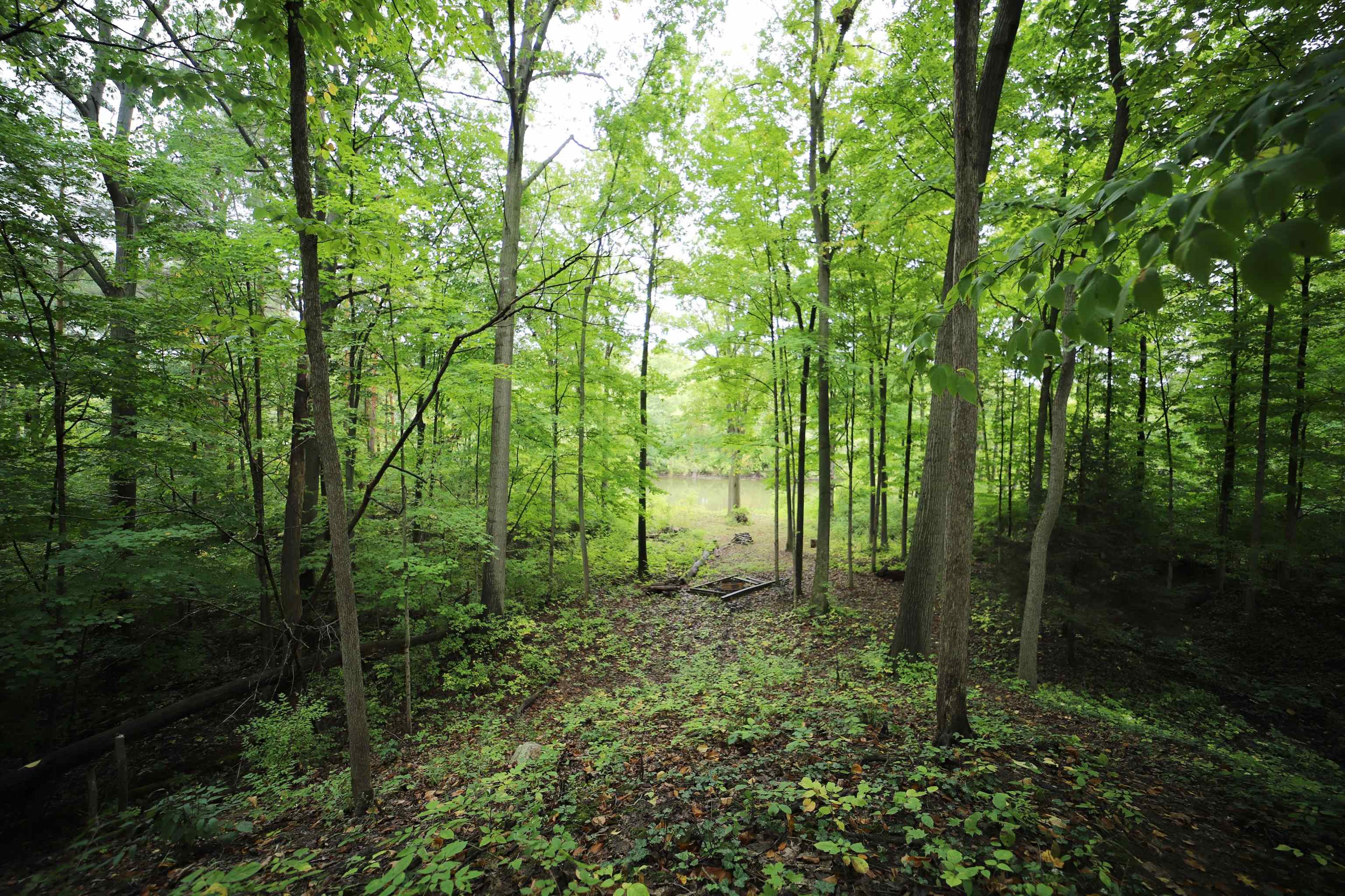 7296 East River Road Flushing, MI 48433 - Photo 34 of 39