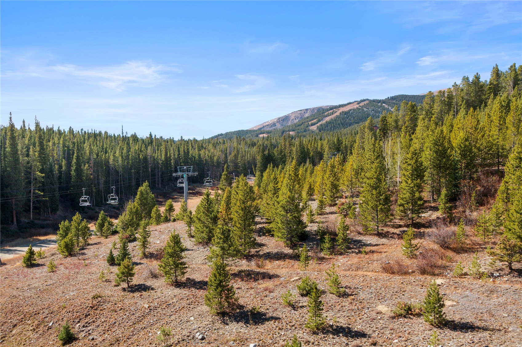 640 Village Road, Unit 4516 Breckenridge, CO 80424 - Photo 3 of 18 View of mountain background featuring a forest