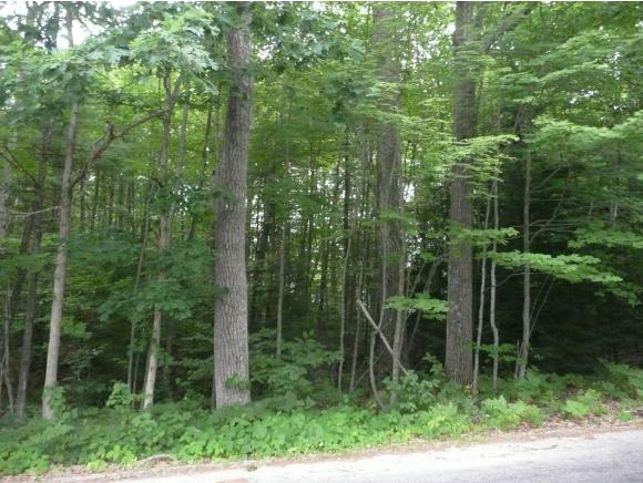Lot #116 Pearson Hill Road Webster, NH 03303 - Photo 2 of 10 Gallery Image 2