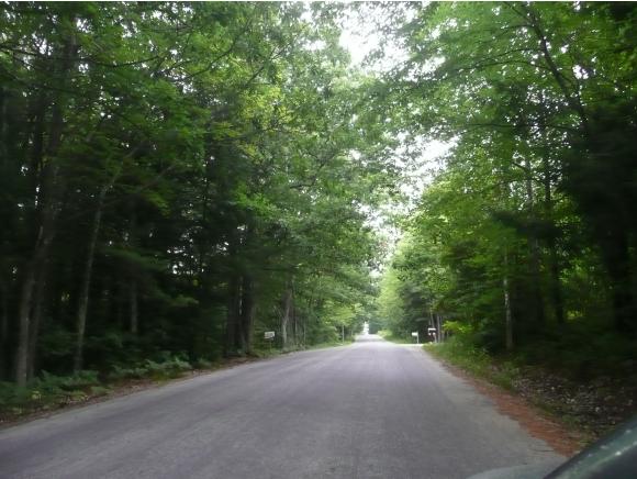 Lot #116 Pearson Hill Road Webster, NH 03303 - Photo 4 of 10 Gallery Image 4