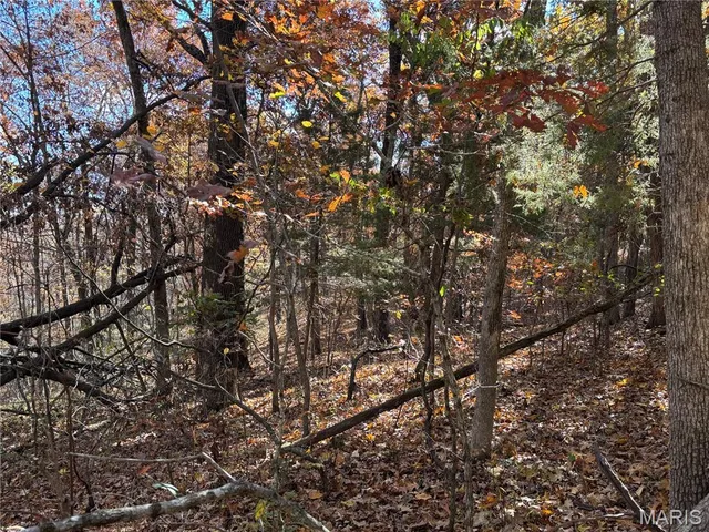 $7,000 | 9712 Southwood Drive, Lake Timberline, MO 63628