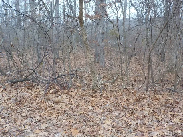 $7,000 | 9712 Southwood Drive, Lake Timberline, MO 63628