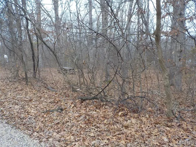 $7,000 | 9712 Southwood Drive, Lake Timberline, MO 63628