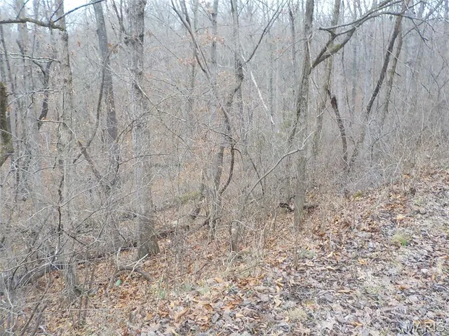 $7,000 | 9712 Southwood Drive, Lake Timberline, MO 63628