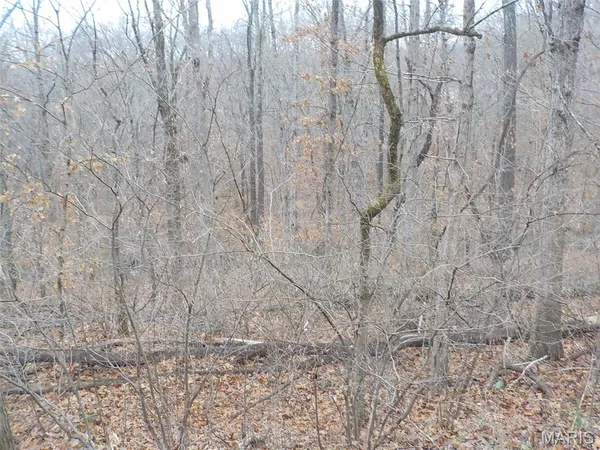 $7,000 | 9712 Southwood Drive, Lake Timberline, MO 63628