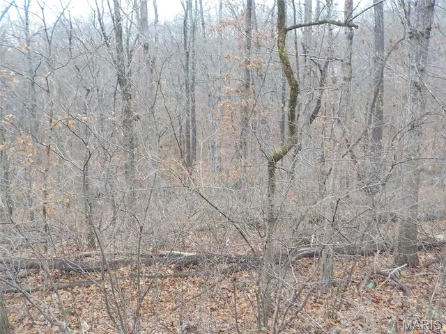 $7,000 | 9712 Southwood Drive, Lake Timberline, MO 63628