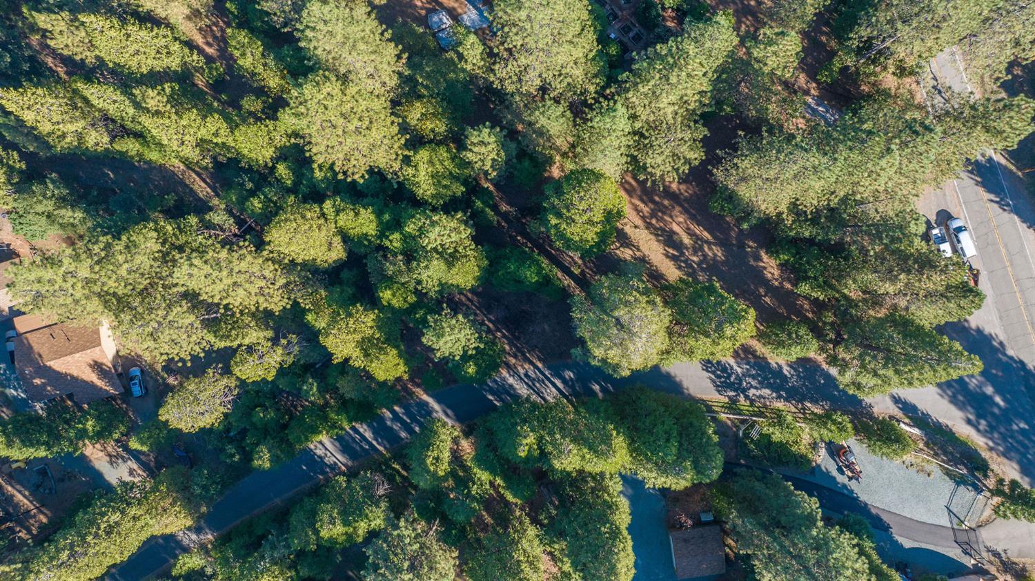 0 Allan Road Volcano, CA 95689 - Photo 5 of 5