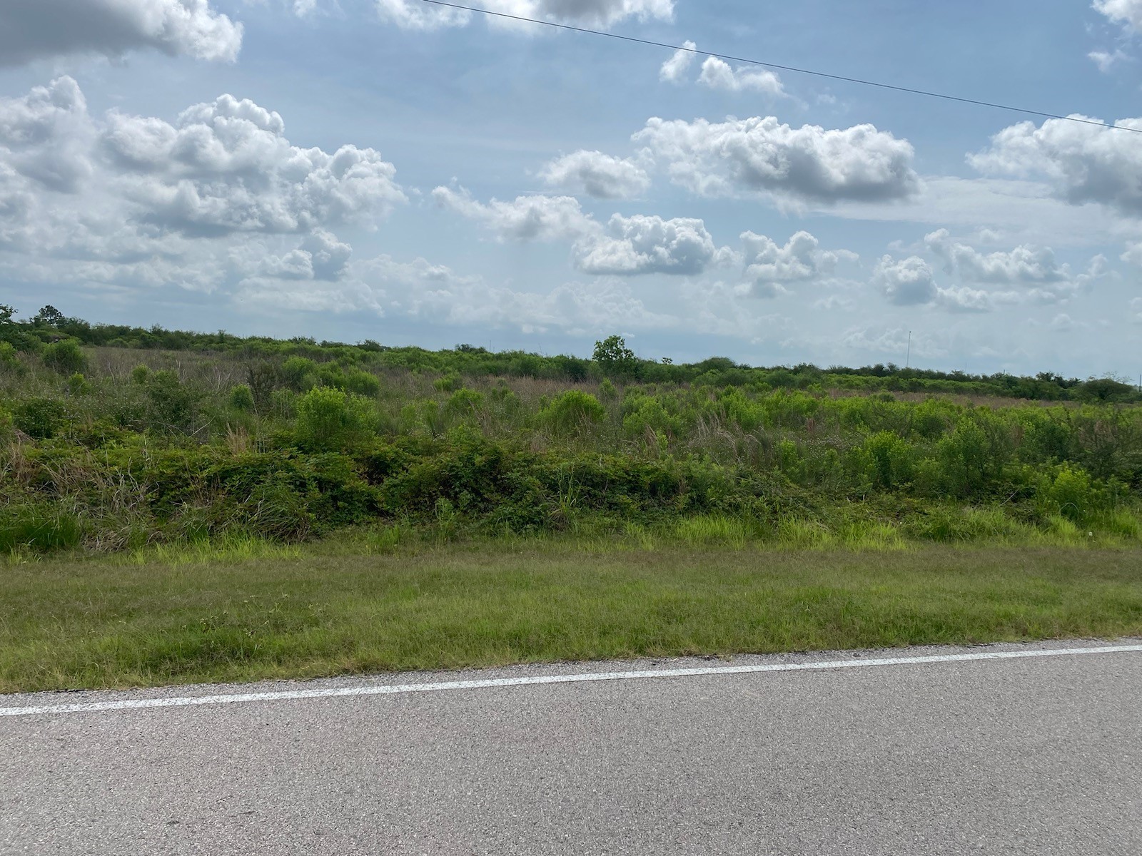 a view of a pathway both side of grassy field with shrub