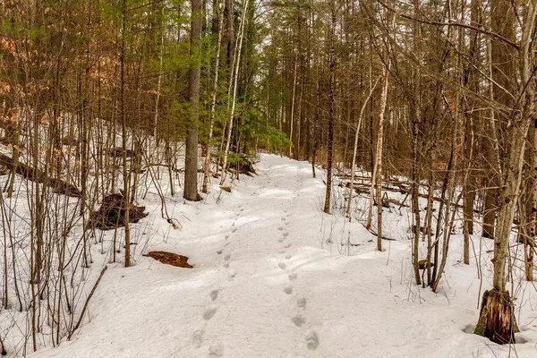 $149,000 | 0 Route 12a Plainfield Nh 03781, Plainfield, NH 03781