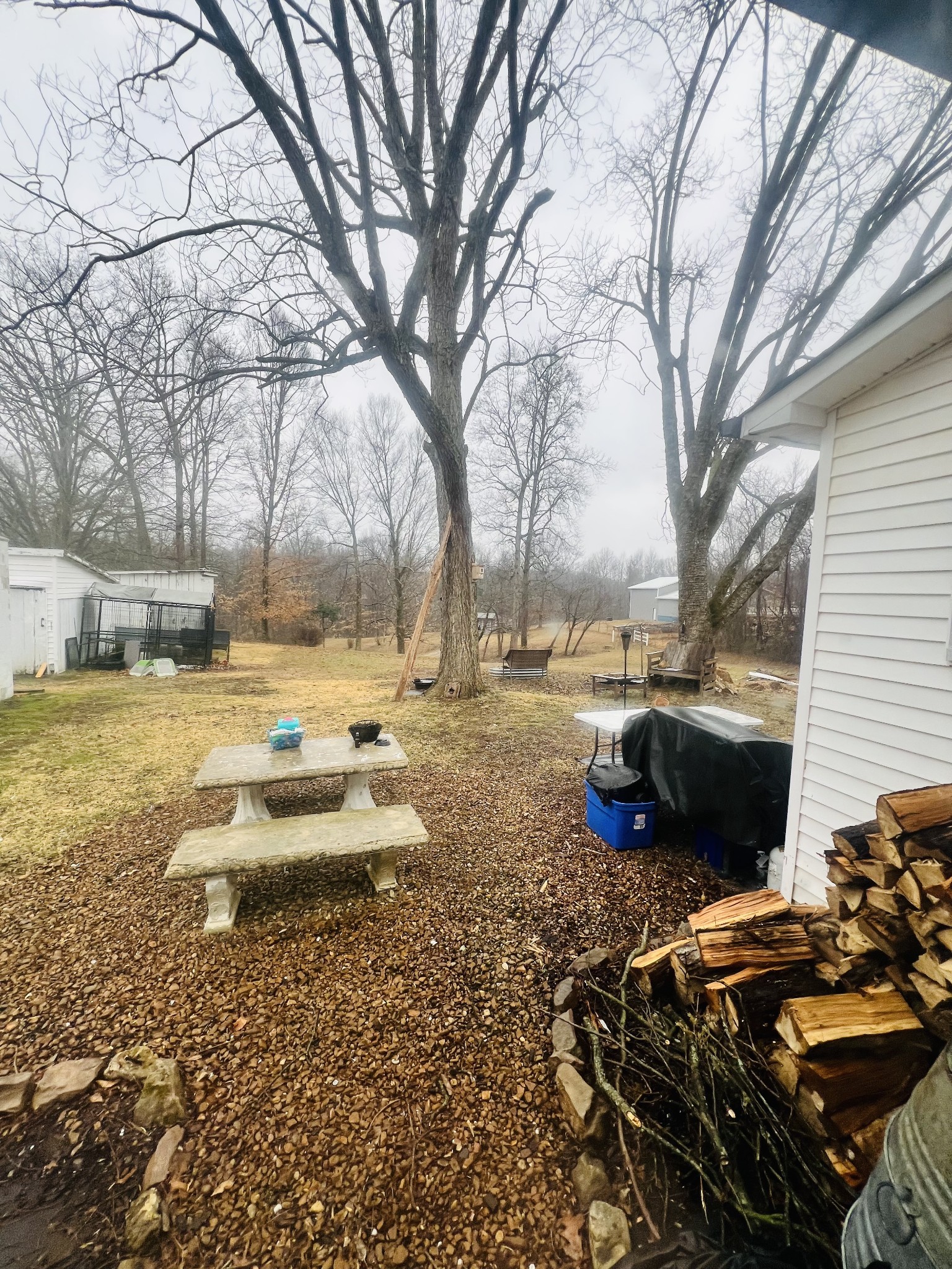 299 West Shellsford Road McMinnville, TN 37110 - Photo 33 of 34 a view of a swimming pool with a patio and a yard