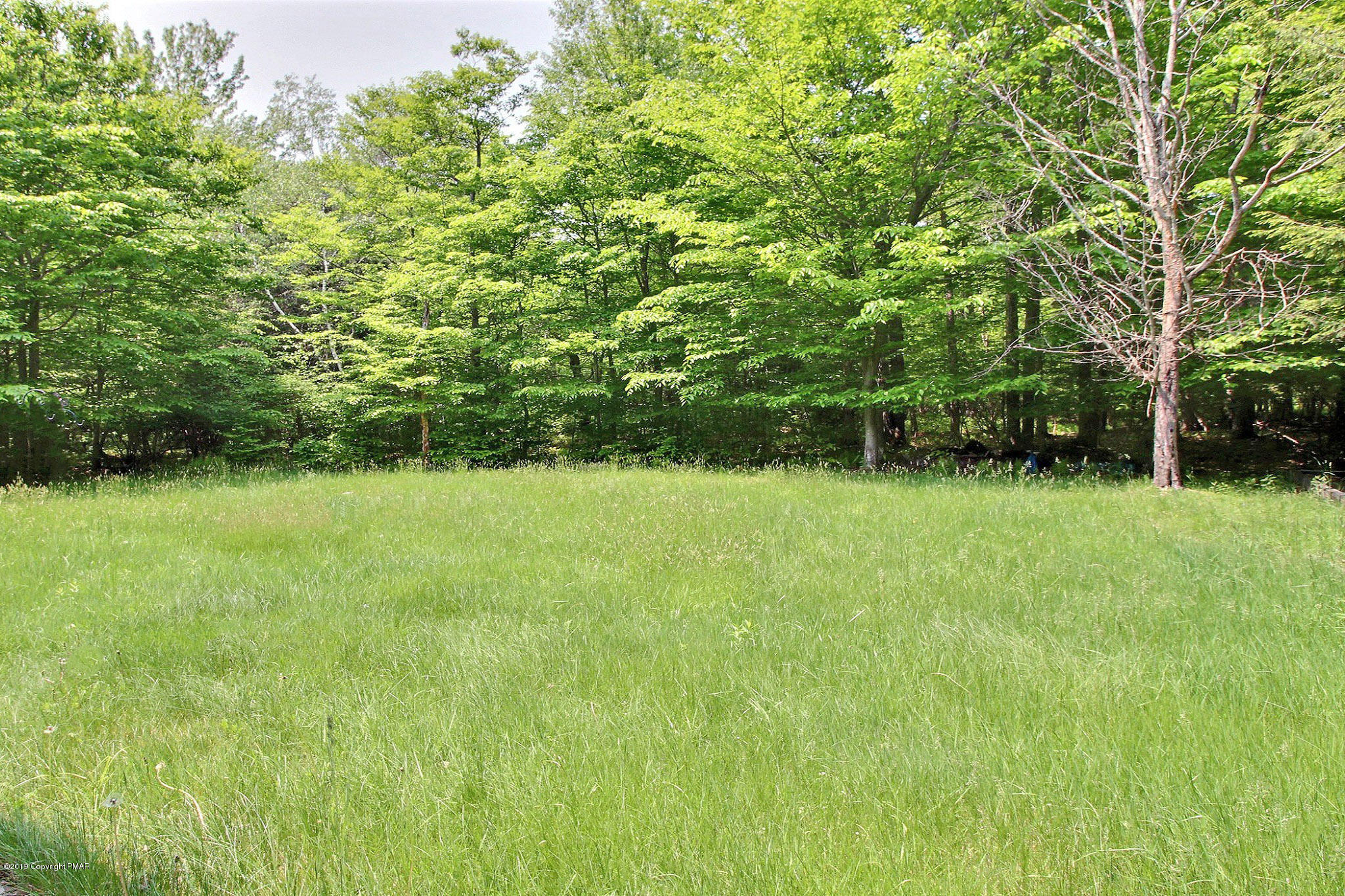 58 Bender Road Gouldsboro, PA 18424 - Photo 41 of 41 Rear Yard