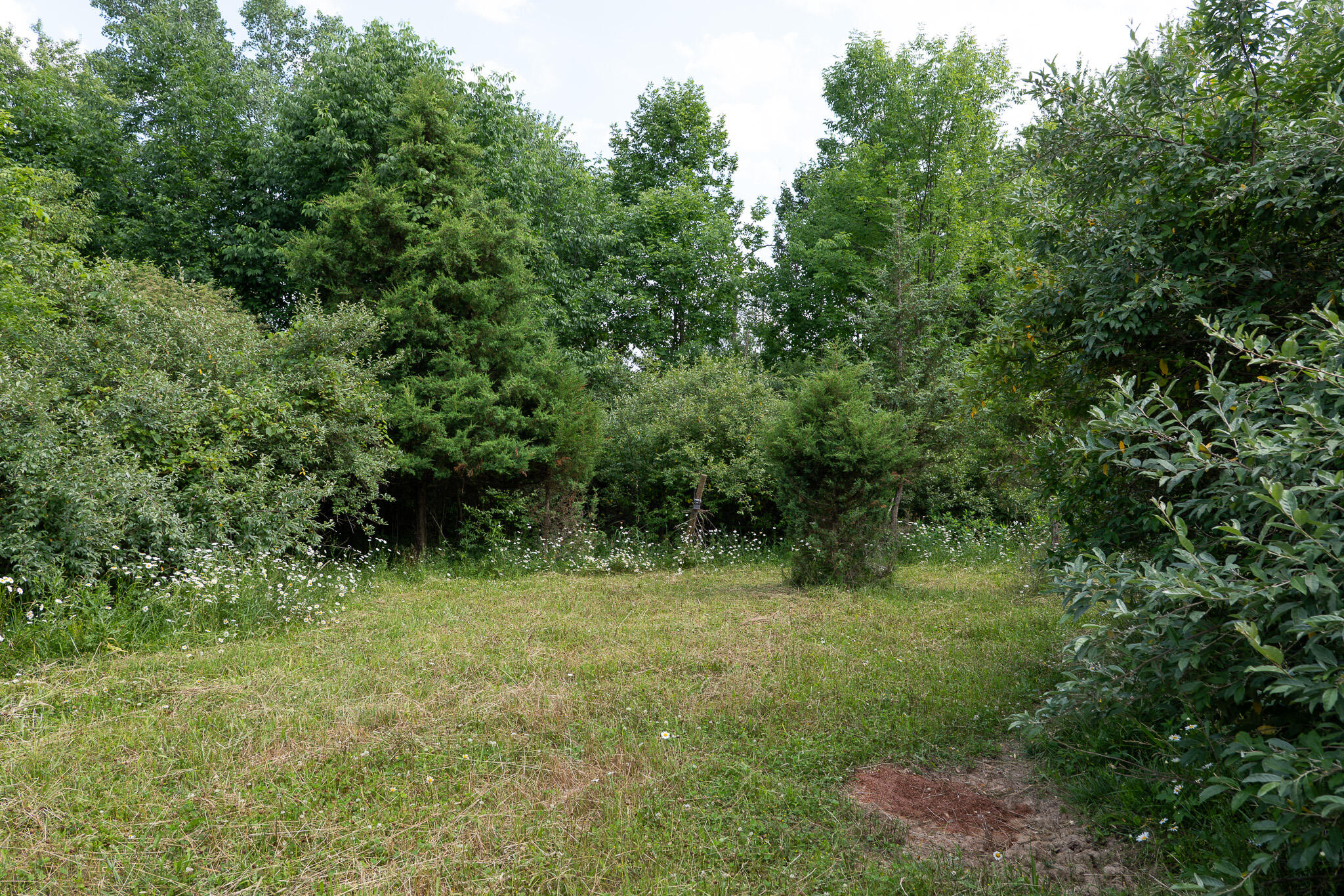 3282 Jerome Road North North Adams, MI 49262 - Photo 22 of 34 P1067858