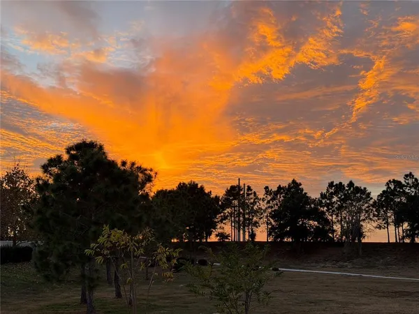 $5,000 | 6154 Hamlin Reserve Boulevard, Winter Garden, FL 34787