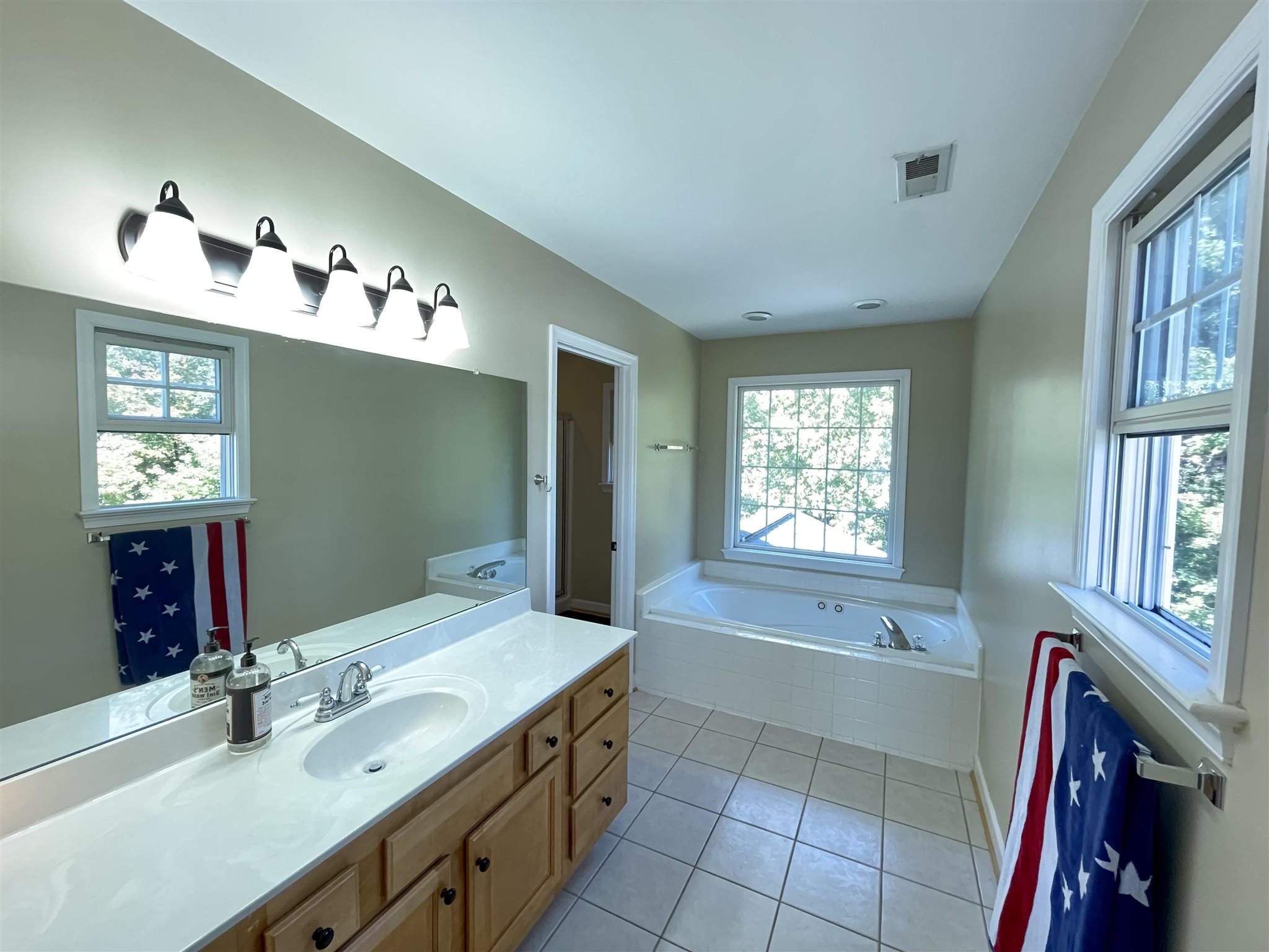 109 Long Bow Road Waynesboro, VA 22980 - Photo 23 of 42 a bathroom with a tub sink and mirror