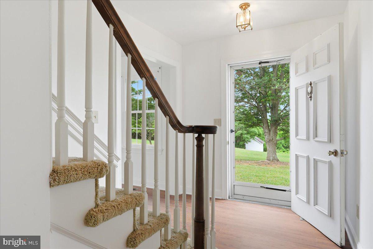 2447 Headquarters Road Edinburg, VA 22824 - Photo 23 of 58