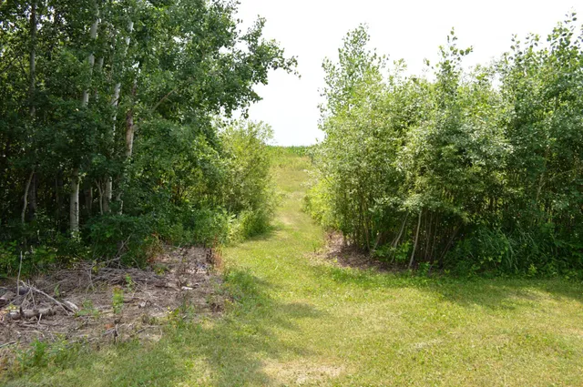 $325,000 | 440 East Alcott Street, Rush City, MN 55069