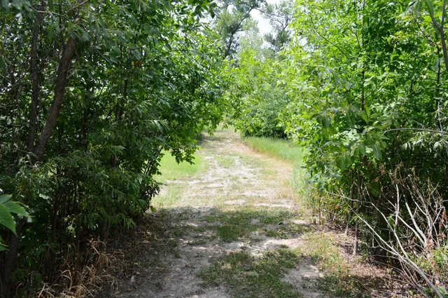 $325,000 | 440 East Alcott Street, Rush City, MN 55069