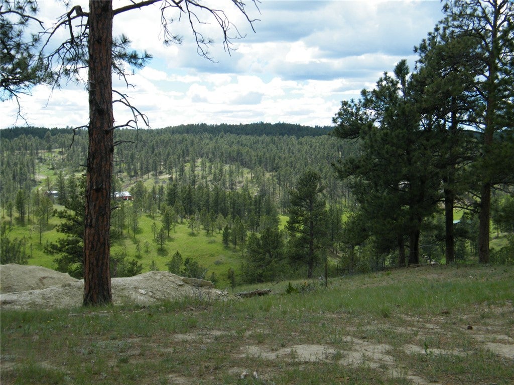 448 West Parrot Creek Road Roundup, MT 59072 - Photo 7 of 18 Gallery Image 7