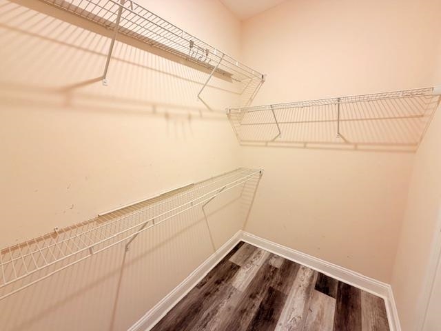 331 Botany Bay Place Wilmington, NC 28412 - Photo 12 of 32