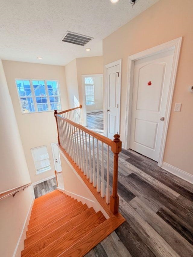 331 Botany Bay Place Wilmington, NC 28412 - Photo 21 of 32