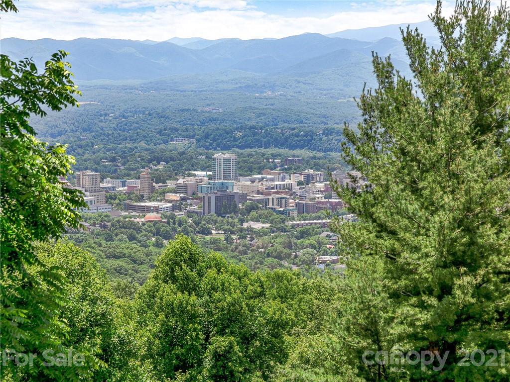 22 Sunset Summit Asheville, NC 28804 - Photo 3 of 42 a view of a yard with plants and large trees