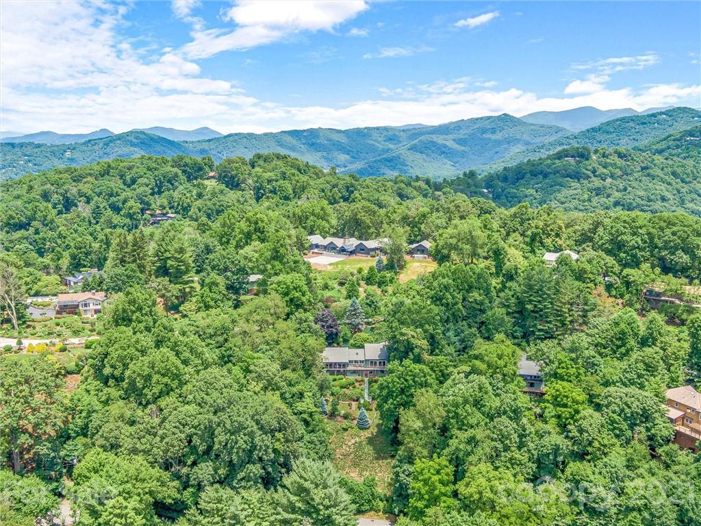 22 Sunset Summit Asheville, NC 28804 - Photo 37 of 42 a view of a forest with a street