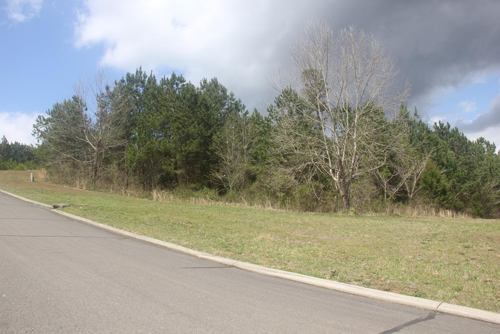 111 Casson Road Ocoee, TN 37361 - Photo 8 of 13 a view of a yard with a tree