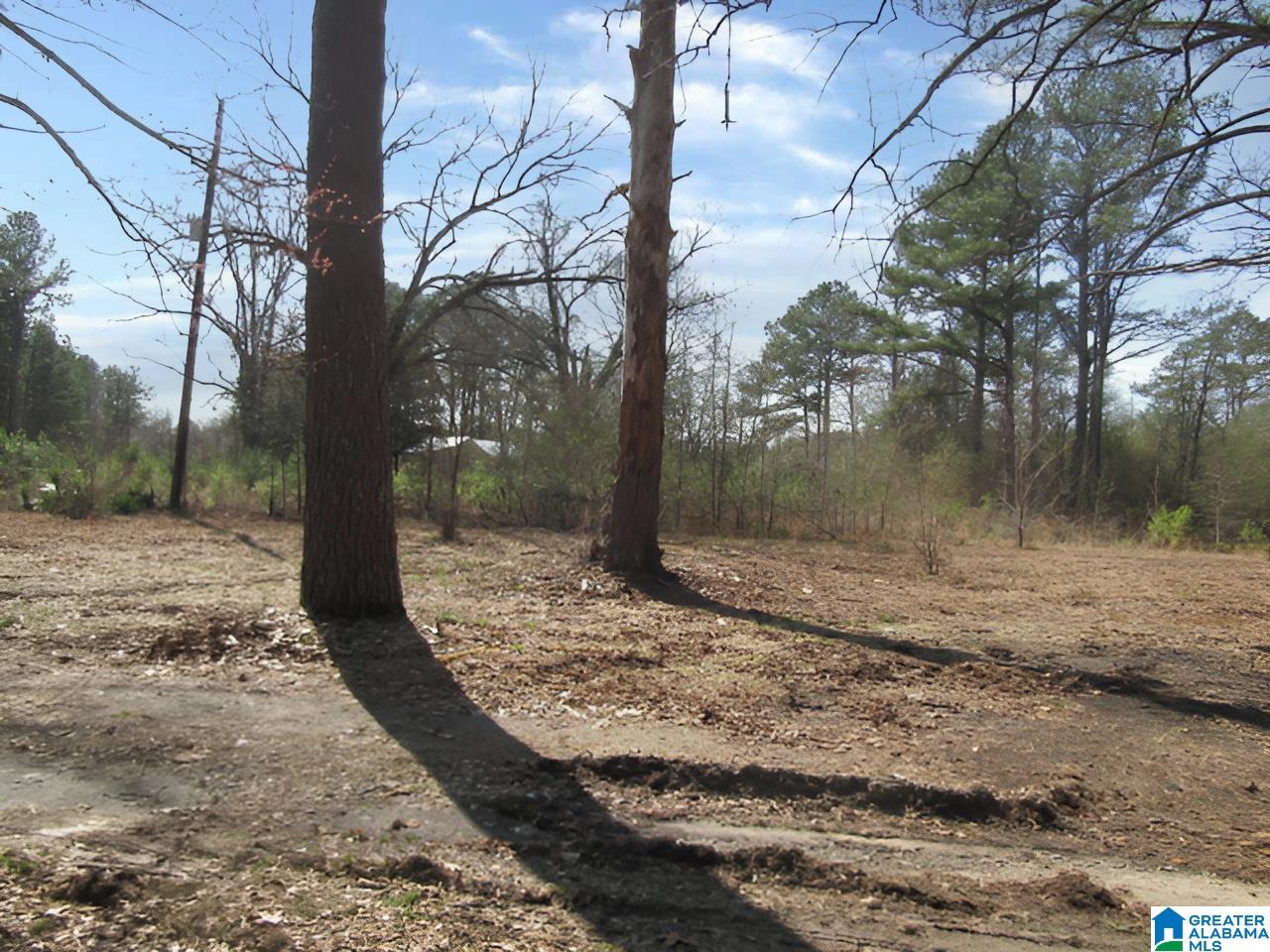 4429 Roy Webb Road Jacksonville, AL 36265 - Photo 25 of 26