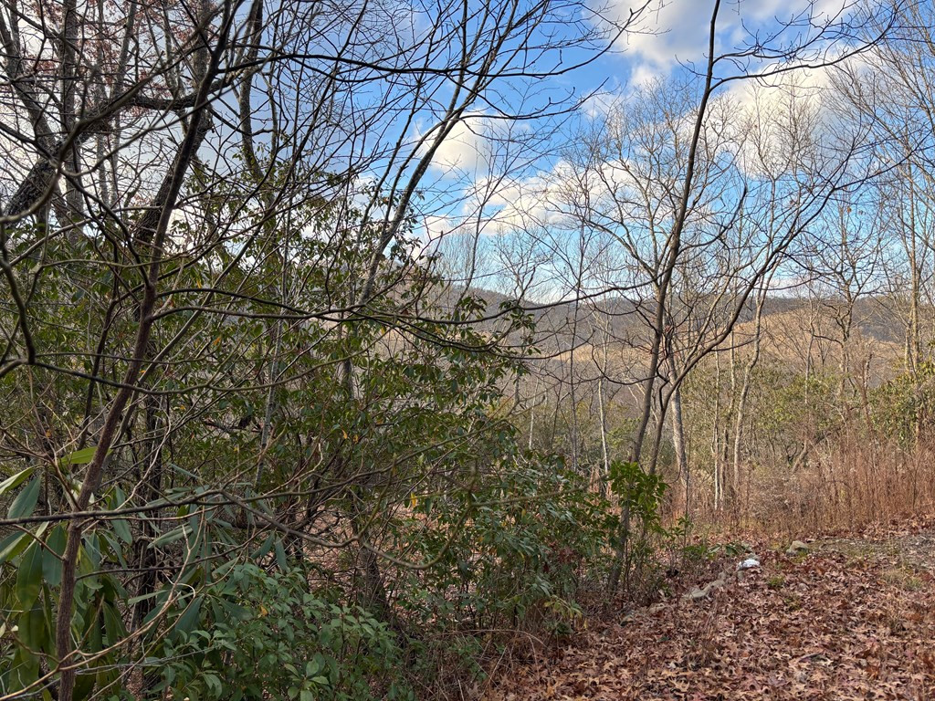 2.02-ac Viewforth Place Topton, NC 28781 - Photo 2 of 9